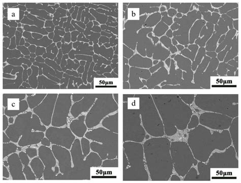 The Effect of Gradient Cooling Behavior on the Microstructure and ...