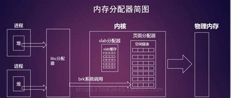 Linux Modules 的图像结果