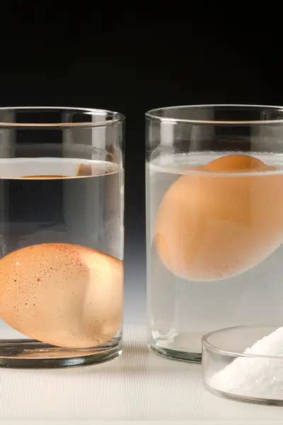 Image result for Finding Density Example