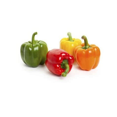 Organic Vegetables Manufacturer, Exporter & Supplier from Bareilly India