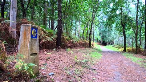 Camino De Santiago: A Guide To The Serene Pilgrimage!