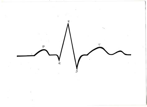 Lead ECG Cable/Electrode Three(3),Five(5),Ten(10)