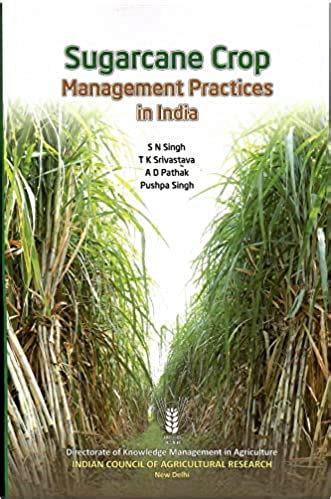 Sugarcane Crop Management Practices in India - Om Publications