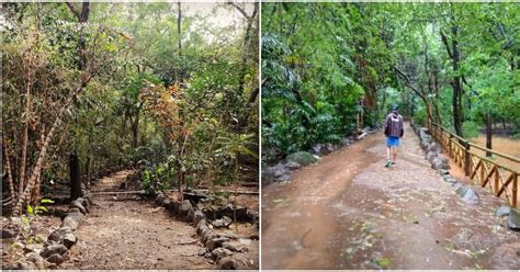 Take A Breather At The Beautiful Forest Park In Powai To Relax Amidst ...