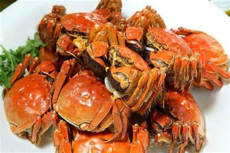 螃蟹市场价格多少钱一斤 螃蟹几月份最好吃 - 致富热