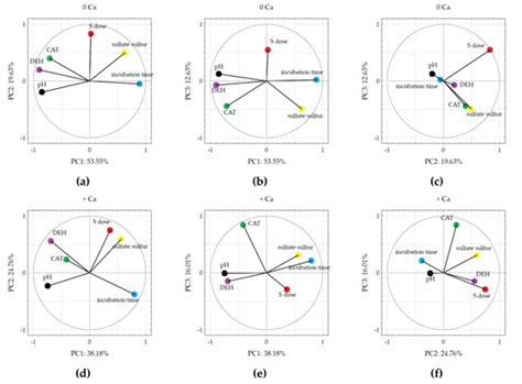 Bioavailability of Sulfur from Waste Obtained during Biogas ...