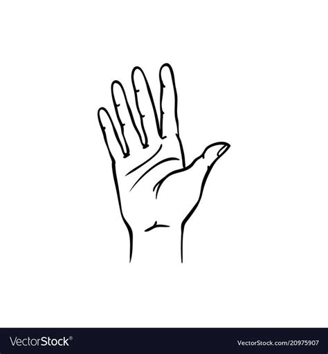 Image result for Hand Drawing Tutorial Middle Finger