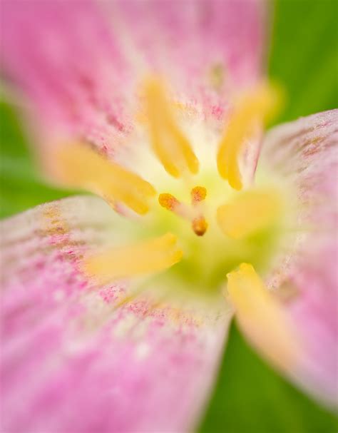 Camera Lens View 的图像结果