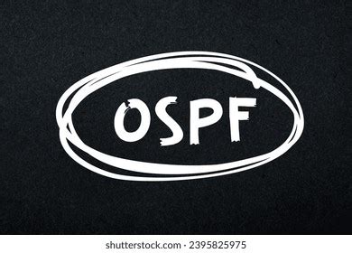 Image result for Open Shortest Path First OSPF Tutorial