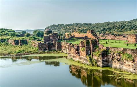 Wildlife Safari Experiences In Ranthambore National Park