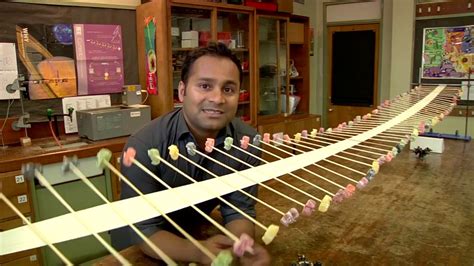 Image result for Transverse Wave Using Rope