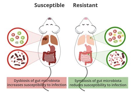 Image result for Host-Pathogen