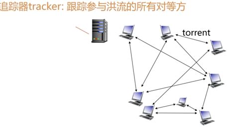 计算机网络 之 P2P架构_p2p网络架构-CSDN博客