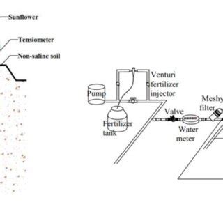 Image result for Fertigation System Schematic Diagram
