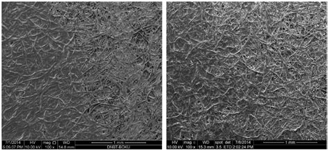 A Review of Applications of Nanocellulose to Preserve and Protect ...