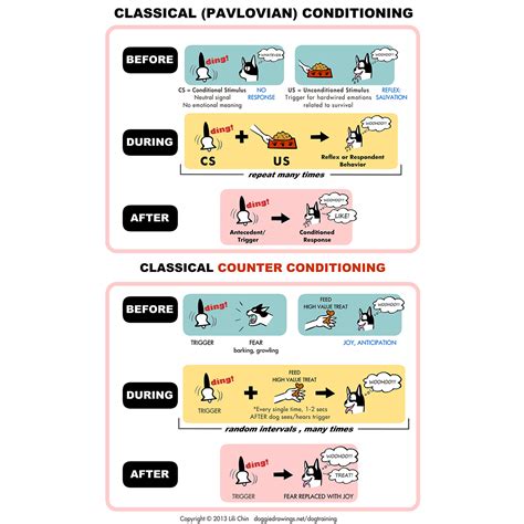 Image result for The Classical Conditioning