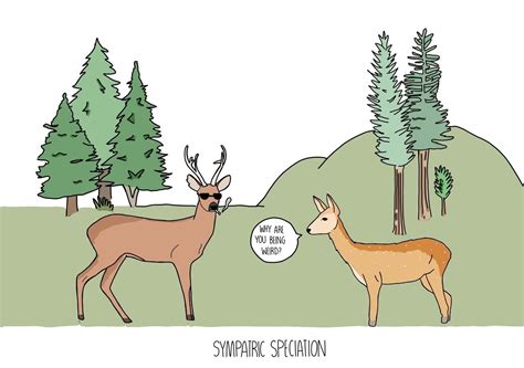 Biological Evolution 的图像结果