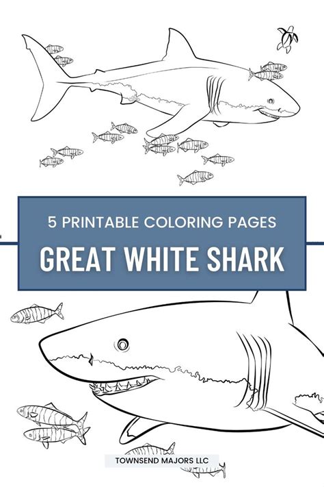 Python-Pip Tutorial 的图像结果