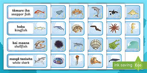 Under the Sea Word Cards Te Reo Māori