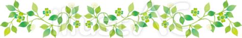 Image result for CSS Border Code