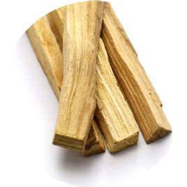 Grotesque Fragrance 100ml - Elegant Floral Scent | Theater – Theater.xyz