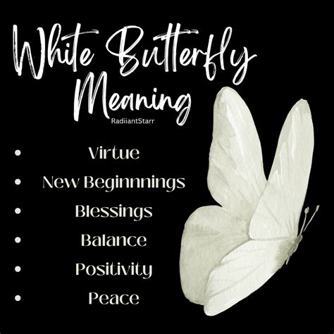 White Butterfly Symbolism: Discover the Meaning Behind This Spiritual Guide