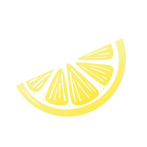 Lemon Slice Drawing