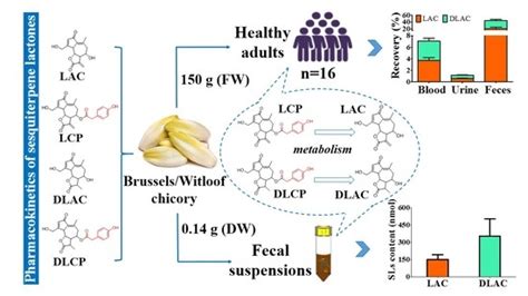 Low Oral Bioavailability and Partial Gut Microbiotic and Phase II ...