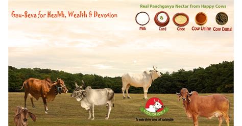 DOCTOR COW : No.1 Unified Brand of Cow Products to Support Goshalas