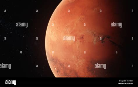 Space Colonization 的图像结果