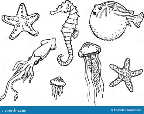 Ocean Animals Drawings