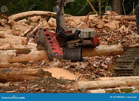 Log Cutter 的图像结果