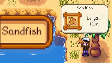 WHERE AND HOW TO CATCH SANDFISH Stardew Valley - YouTube