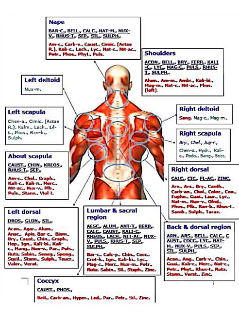 Image result for Lower Back Pain Chart