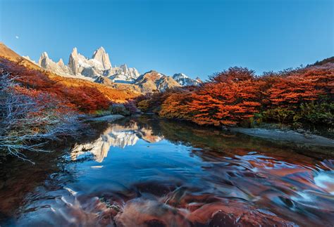 Los glaciares National Park (Argentinië) | Watervallen en Jungle ...