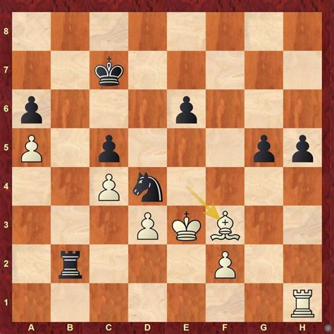 Checkmate Covid-19 Online Blitz Open raises ₹451650 - ChessBase India