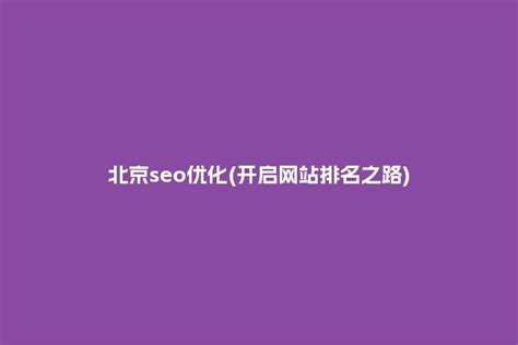 北京seo优化(开启网站排名之路) - 洋葱SEO