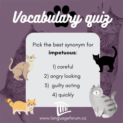 Which Word Best Describes the Cat in Cat