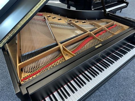 Vleugel - Steinway & Sons - M-170 kopen. Steinway & Sons Flügel, Modell ...