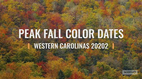 North Carolina Fall