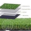 Buy M G'S REAL DECOR 20 Mm Artificial Flora Carpet Mat For Balcony&Lawn ...