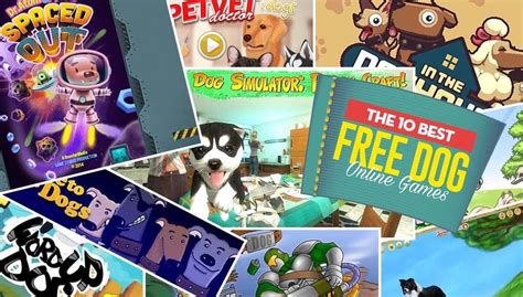 Image result for Homemade Interactive Games for Dogs