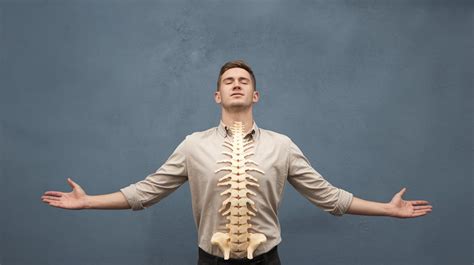 Image result for Posture From Back View Alignment