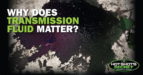 Transmission Fluid Leak | What Causes a Transmission Leak?