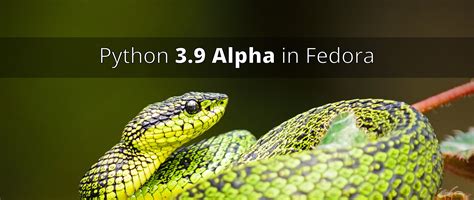 Image result for Python 9