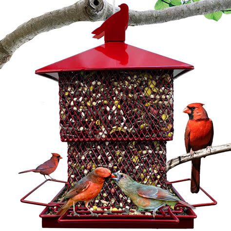 Best Large Capacity Bird Feeders for Birdwatchers 2025!