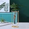 Buy Metal Test Tube Vase for Home Decor | Set of 2 Flower Vases with ...