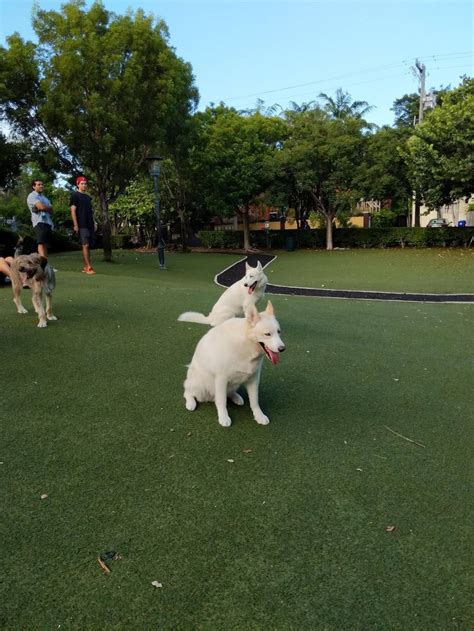 Blanche Park in 3045 Shipping Ave, Miami, FL 33133, USA