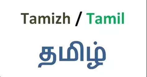 11th Tamil Slow Learners Study Material மெல்ல கற்கும் மாணவர்கள் ...