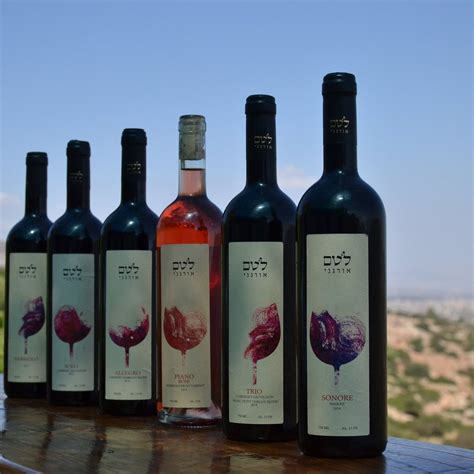 LOTEM WINERY (2025) All You Need to Know BEFORE You Go (with Photos ...